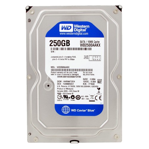 Festplatte western digital - festplatte,