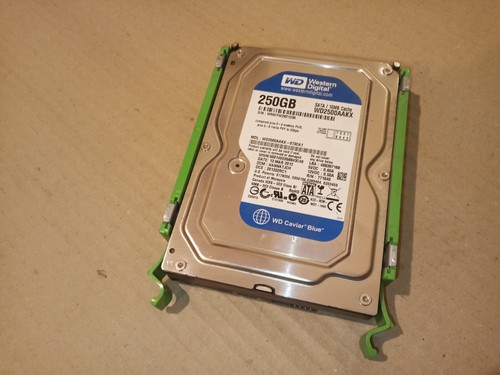 Festplatte western digital - western,