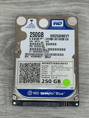 Western digital 250gb - western,