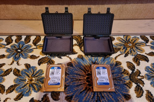 Western digital blue - 2x,