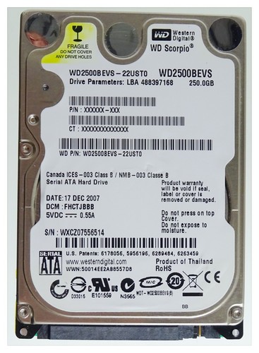 250gb western digital - 250gb,