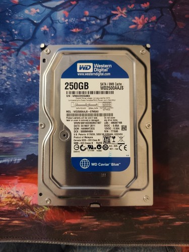 Caviar blue 250gb - blue,